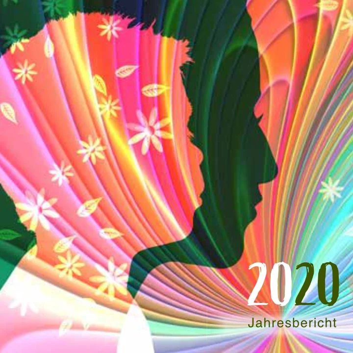Tätigkeitsbericht 2020